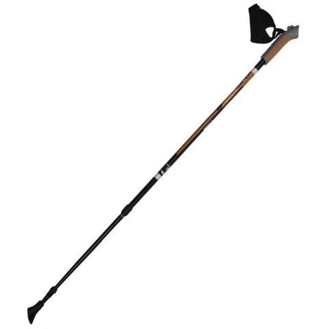 Kije trekkingowe Sportech N SM216-D6