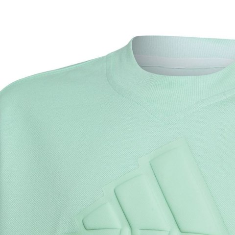Koszulka adidas FI Logo Tee Jr IC9532 Koszulka adidas FI Logo Tee Jr IC9532
