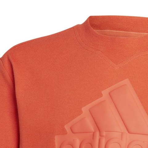Koszulka adidas FI Logo Tee Jr HR6296 Koszulka adidas FI Logo Tee Jr HR6296