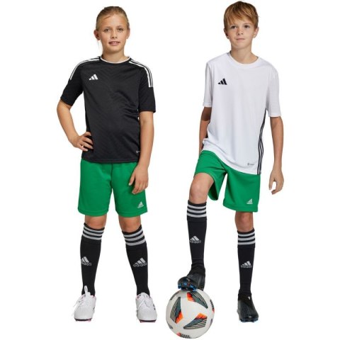 Spodenki adidas Entrada 22 Jr IC7410