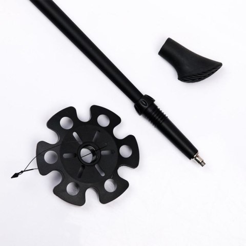 Kije Nordic Walking Viking 650/21/4563/08