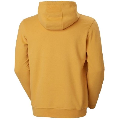 Bluza Helly Hansen Logo Hoodie M 33977-364 Bluza Helly Hansen Logo Hoodie M 33977-364