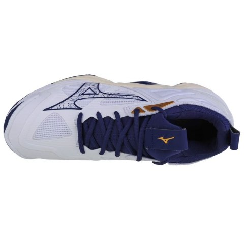 Buty Mizuno Wave Momentum 3 M V1GA231243