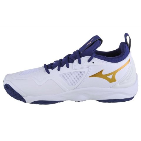 Buty Mizuno Wave Momentum 3 M V1GA231243