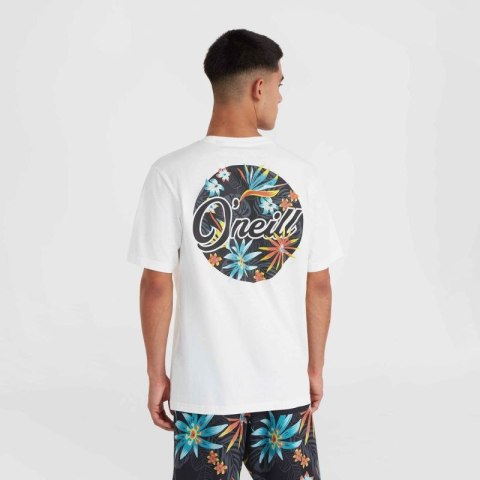 Koszulka O'Neill Beach Graphic T-Shirt M 92800613984 Koszulka O'Neill Beach Graphic T-Shirt M 92800613984