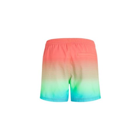 Szorty kąpielowe O'Neill Jack Cali Gradient 15'' Swim Shorts M 92800613575