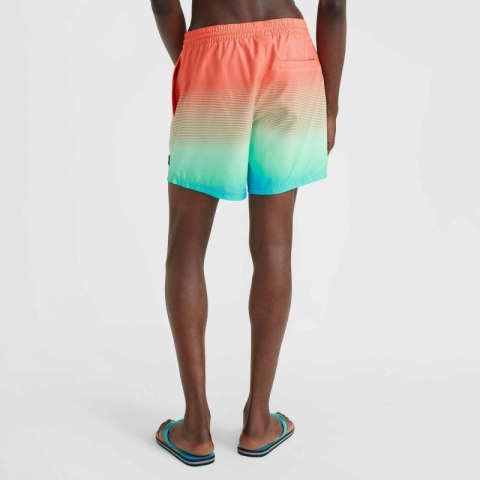 Szorty kąpielowe O'Neill Jack Cali Gradient 15'' Swim Shorts M 92800613575