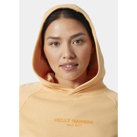 Bluza Helly Hansen z kapturem W Core Hoodie W 54033 316
