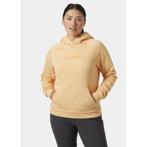 Bluza Helly Hansen z kapturem W Core Hoodie W 54033 316