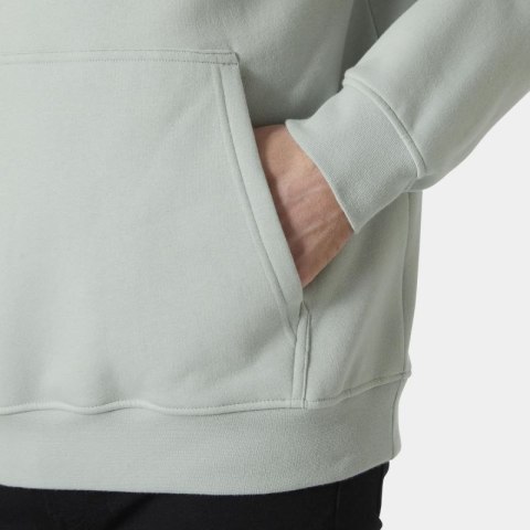 Bluza Helly Hansen z kapturem Cotton Fleece Hoodie M 54158 462 Bluza Helly Hansen z kapturem Cotton Fleece Hoodie M 54158 462