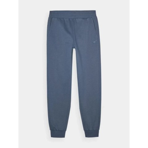 Spodnie dresowe 4F M 4FWMM00TTROM0943-32S
