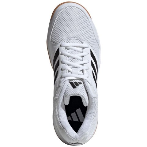 Buty do siatkówki adidas Speedcourt IN W IH3159