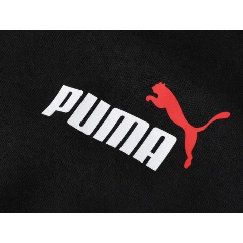 Bluza Puma Ess M 679633 01