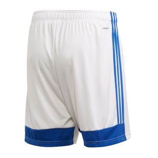 Spodenki adidas Tastigo 19 M FL7789