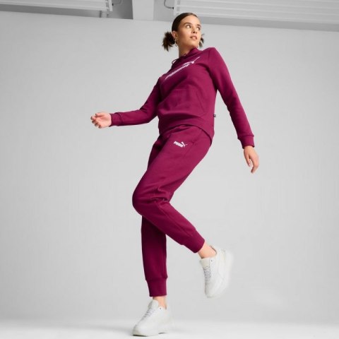 Bluza Puma ESS Logo Hoodie FL W 586789 52