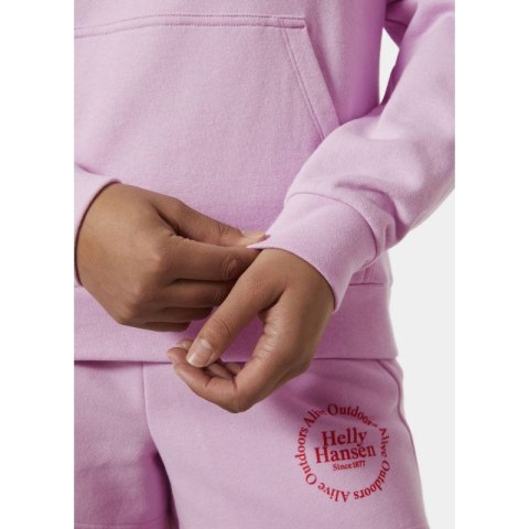 Bluza Helly Hansen Core Graphic Hoodie W 54239 052 Bluza Helly Hansen Core Graphic Hoodie W 54239 052