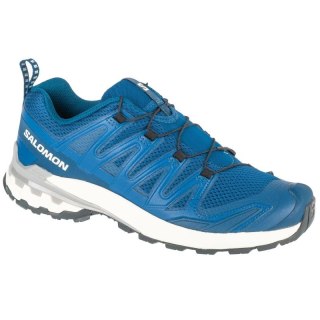 Buty do biegania Salomon XA Pro 3D v9 M L47817800