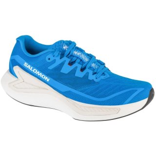 Buty do biegania Salomon DRX Bliss 2 M L47745300