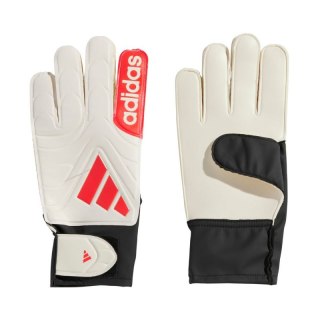 Rękawice bramkarskie adidas Copa Club Goalkeeper M JH3789