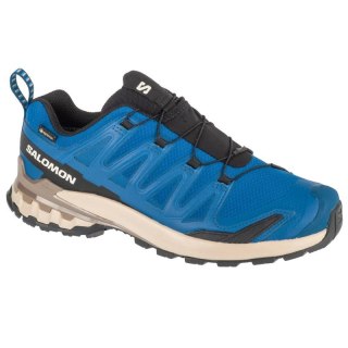 Buty do biegania Salomon XA Pro 3D v9 GTX M L47817200