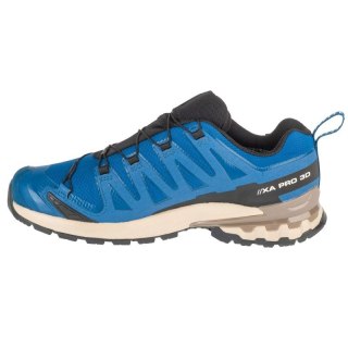 Buty do biegania Salomon XA Pro 3D v9 GTX M L47817200