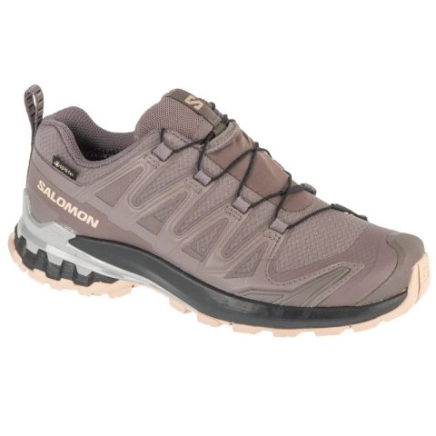 Buty do biegania Salomon XA Pro 3D v9 GTX W L47744500