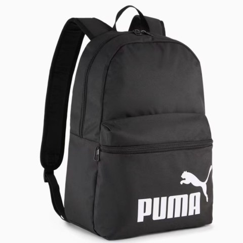 Pleack Puma Phase 091164-01 Pleack Puma Phase 091164-01