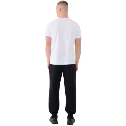 Spodnie 4F Cas M1139 M 4FWMM00TTROM1139 20S