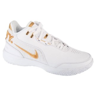 Buty Nike LeBron NXXT Gen AMPD FJ1566-103
