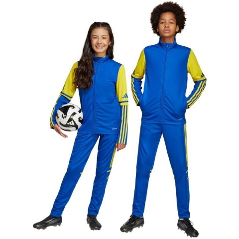 Spodnie adidas Squadra 25 Training Jr JP3154