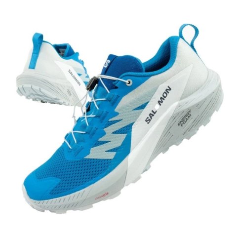 Buty do biegania Salomon Sense Ride 5 M 475167