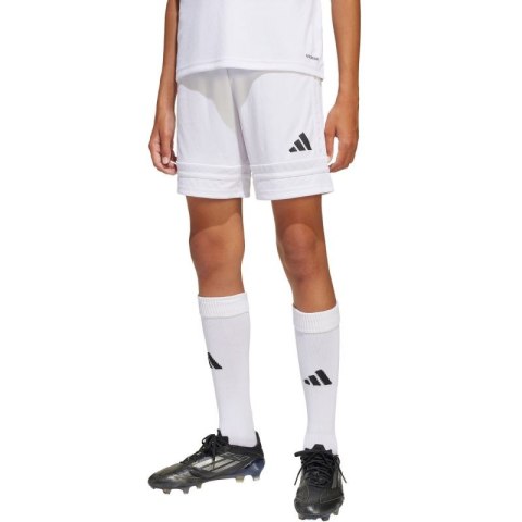 Spodenki adidas Squadra 25 Jr JJ2423