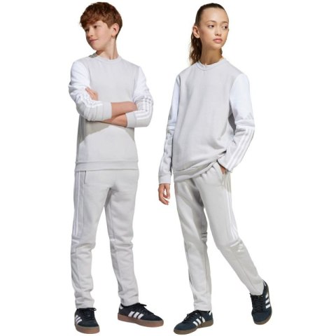 Spodnie adidas Squadra 25 Sweat Jr JD4823