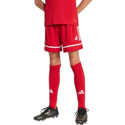 Spodenki adidas Squadra 25 Jr JN5456