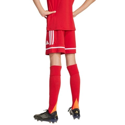 Spodenki adidas Squadra 25 Jr JN5456