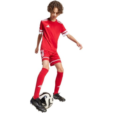 Spodenki adidas Squadra 25 Jr JN5456