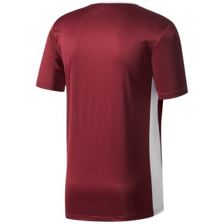 Koszulka dla dzieci adidas Entrada 18 Jersey JUNIOR bordowa CE9564