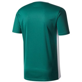 Koszulka męska adidas Entrada 18 Jersey zielona CD8358