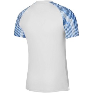 Koszulka męska Nike Dri-FIT Academy JSY SS biało-niebieska DH8031 102