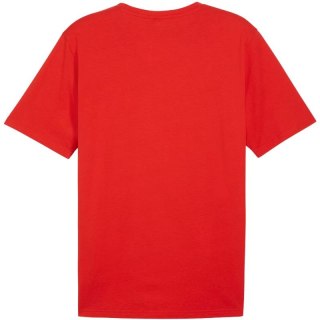 Koszulka Puma Team Rise Logo Jersey Cotton M 658705 01