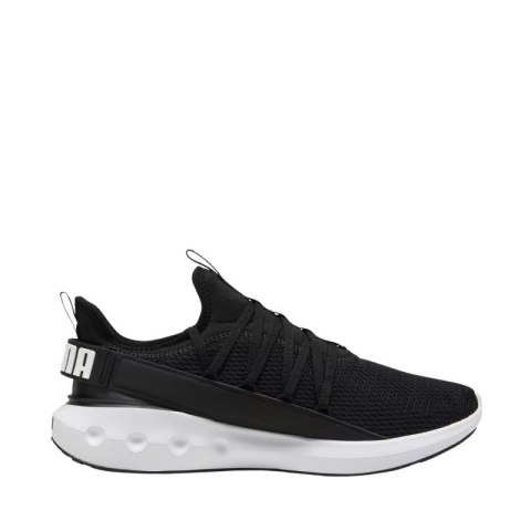 Buty do biegania Puma Softride Carson Fresh M 310155 01