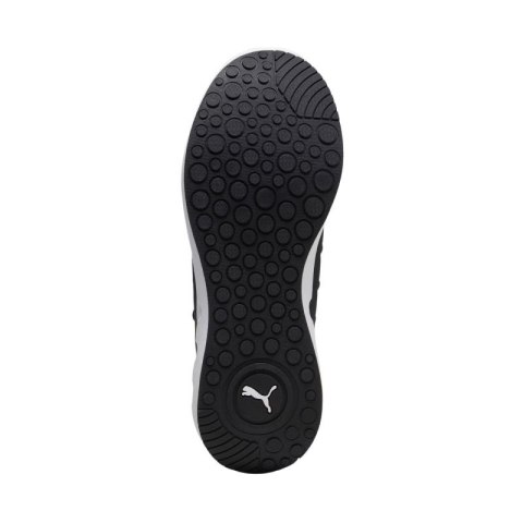 Buty do biegania Puma Softride Carson Fresh M 310155 01