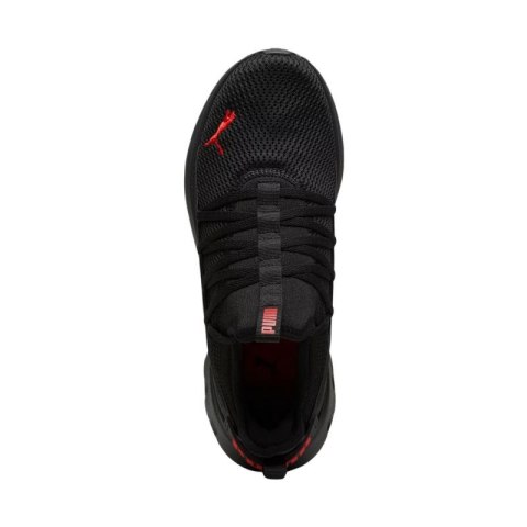 Buty do biegania Puma Softride Carson Fresh M 310155 04