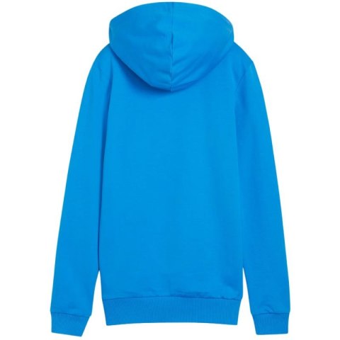 Bluza Puma Team Goal Casuals Hoody W 658621 02