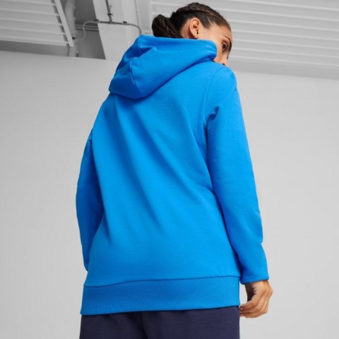 Bluza Puma Team Goal Casuals Hoody W 658621 02