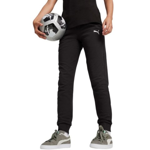 Spodnie Puma Team Goal Casuals W 658604 03