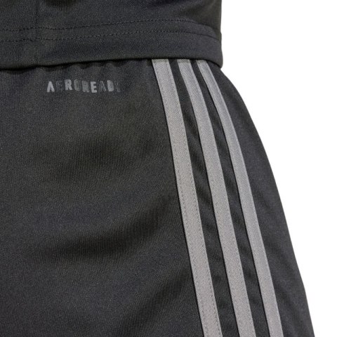 Spodenki adidas Squadra 25 M JN4447