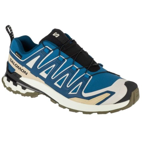 Buty do biegania Salomon XA Pro 3D v9 GTX M L47817400