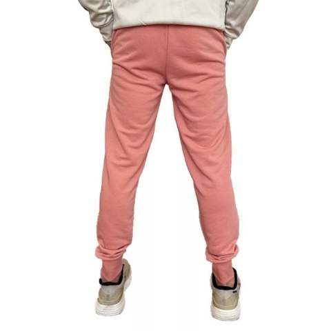 Spodnie Puma Ess+ 2 Col Logo M 586768 62 Spodnie Puma Ess+ 2 Col Logo M 586768 62