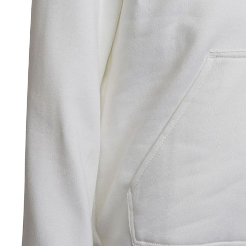 Bluza adidas Entrada 22 Hoody Jr HG6303 Bluza adidas Entrada 22 Hoody Jr HG6303